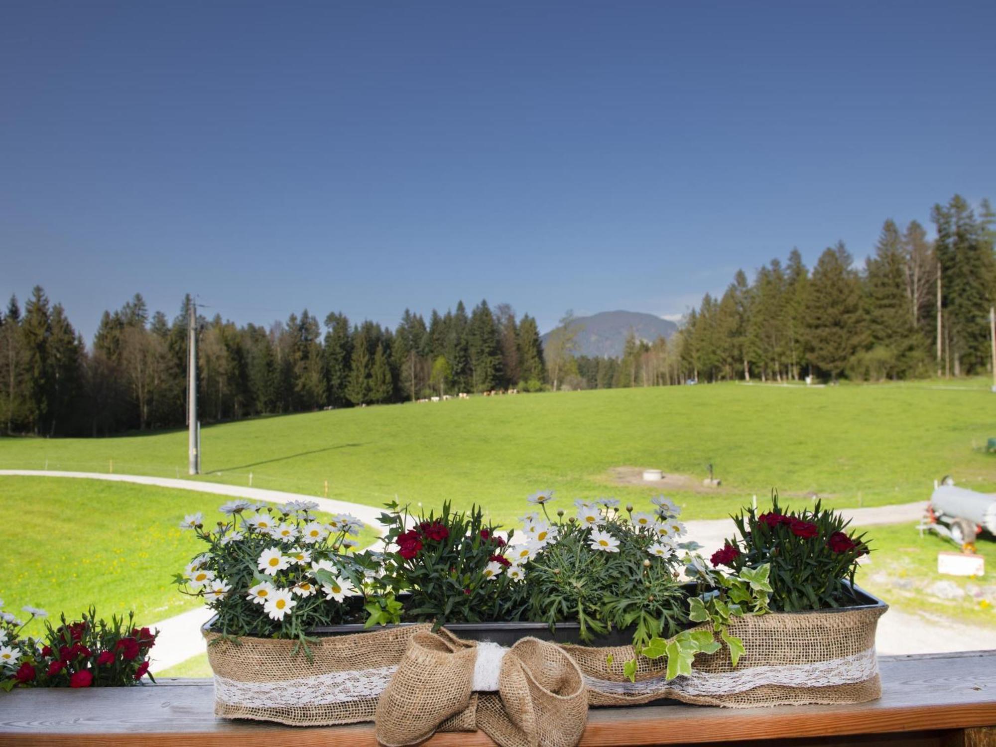 Apartament Auszeit Am Bauernhof Schwoich Zewnętrze zdjęcie
