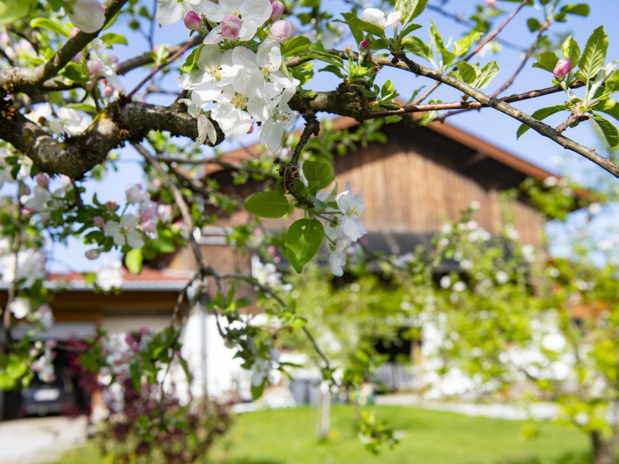 Apartament Auszeit Am Bauernhof Schwoich Zewnętrze zdjęcie